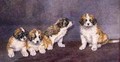 Puppies in Council - Rupert Arthur Dent