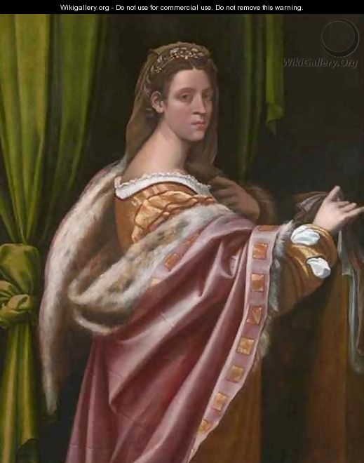 Portrait of a Lady - Sebastiano Del Piombo (Luciani)
