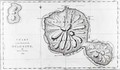 Chart of the Island Otaheite - J. Cook