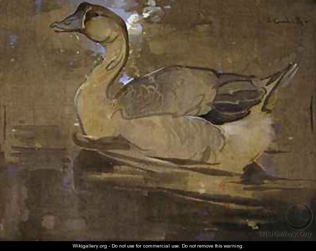 The Chinese Goose - Joseph Crawhall