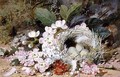 Still Life of Birds Nest with Primulas - William Cruikshank