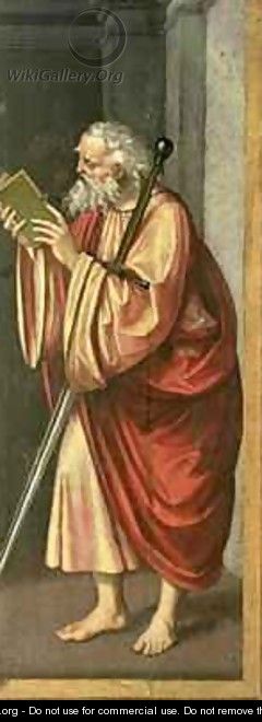 St Paul Apostle - Marco D