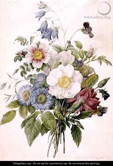A Spray of Summer Flowers - Louise D