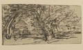 Study of Trees 4 - J. Frank Currier