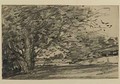 Study of Trees 2 - J. Frank Currier