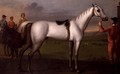 Groom holding a grey racehorse - Daniel Quigley