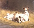 A Terrier with Three Puppies - Gabrielle Rainer-Istuanty