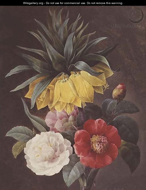Exotic Flowers - Pierre-Joseph Redouté