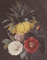 Exotic Flowers - Pierre-Joseph Redouté