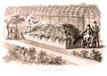 Luxury of Gardens, from Fragments on the Theory and Practice of Landscape Gardening, pub. 1816 - Humphry Repton