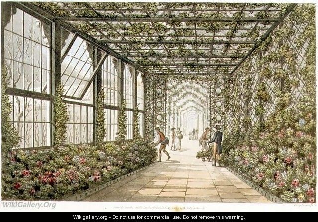 Corridor of a Conservatory, engraved by Joseph Constantine Stadler fl.1780-1812 from Designs for the Pavilion at Brighton, pub. 1808 - Humphry Repton