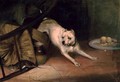 Dog Chasing a Rat - Briton Rivière
