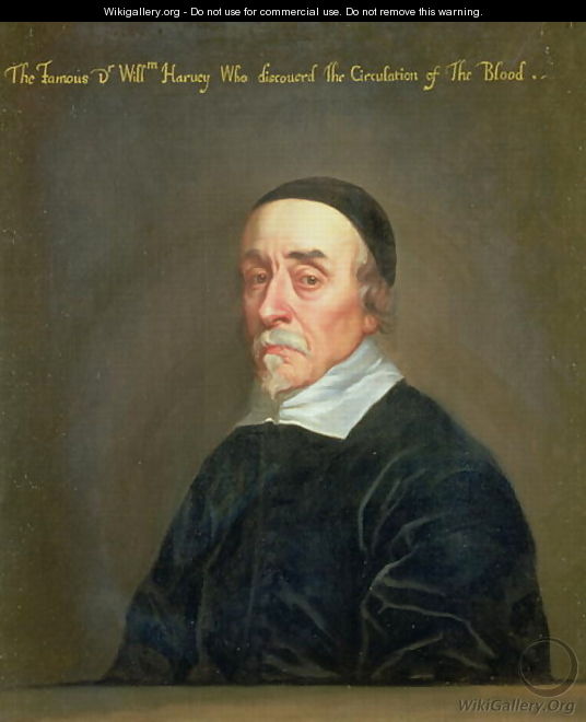 Portrait of William Harvey 1578-1657 - John Riley