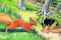 Little Red Squirrel 17 - Harry M. Pettit