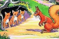 Little Red Squirrel 16 - Harry M. Pettit
