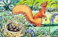 Little Red Squirrel 8 - Harry M. Pettit