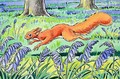 Little Red Squirrel 4 - Harry M. Pettit