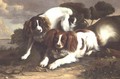 Two King Charles Spaniels Playing with a Frog - Christopher Pierson