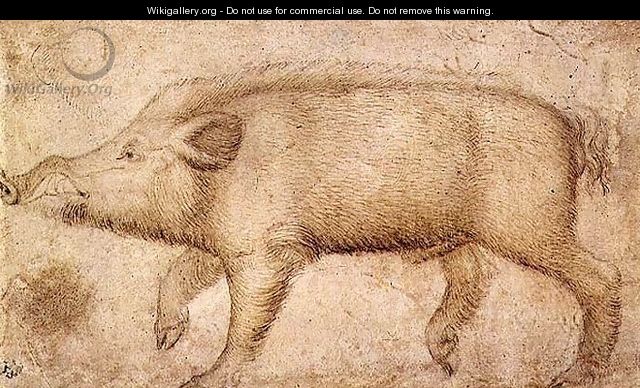 A Wild Boar - Antonio Pisano (Pisanello)
