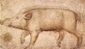 A Wild Boar - Antonio Pisano (Pisanello)