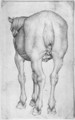 Horse, from the The Vallardi Album - Antonio Pisano (Pisanello)