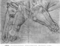 Heads of horses, from the The Vallardi Album - Antonio Pisano (Pisanello)