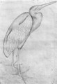 Pelican, from the The Vallardi Album - Antonio Pisano (Pisanello)