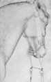 Head of a horse, from the The Vallardi Album - Antonio Pisano (Pisanello)