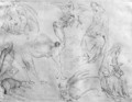 Sheet of studies, from the The Vallardi Album - Antonio Pisano (Pisanello)