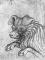 Head of a dog, from the The Vallardi Album - Antonio Pisano (Pisanello)