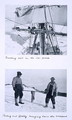 Top Furling Terra Novas sail in the ice pack. Bottom Ponting and Lashly bringing home the octopus. from Scotts Last Expedition - Herbert Ponting