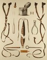 Equipment for Falconry, from Traite de Fauconnerie by H. Schlegel and A.H. Verster de Wulverhorst, 1844-53 2 - Wouw Portman & Van