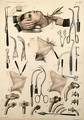 Tracheotomy operation, plate from Traite Complet de lAnatomie de lHomme by Jean-Baptiste Marc Bourgery 1797-1849 1866-67 2 - E. Pochet