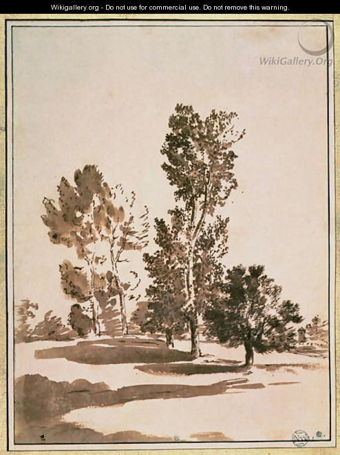 Tree Study - Nicolas Poussin
