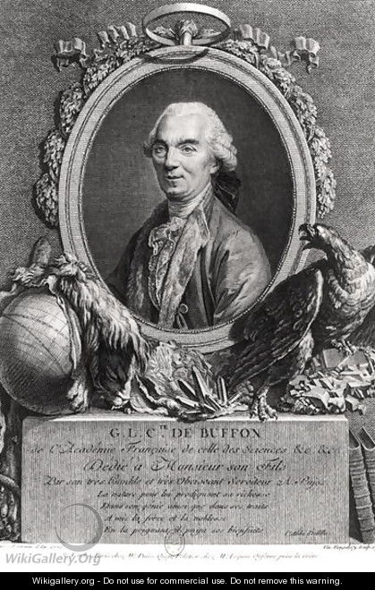Georges-Louis Leclerc 1707-88 Comte de Buffon, engraved by Vincenzio Vangelisti 1738-98 1777 - (after) Pujos, Andre