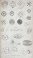 Plate II from Contributions of the physiology of vision No. I, published in the Journal of the Royal Institution, 1830 - Jan Purkinje