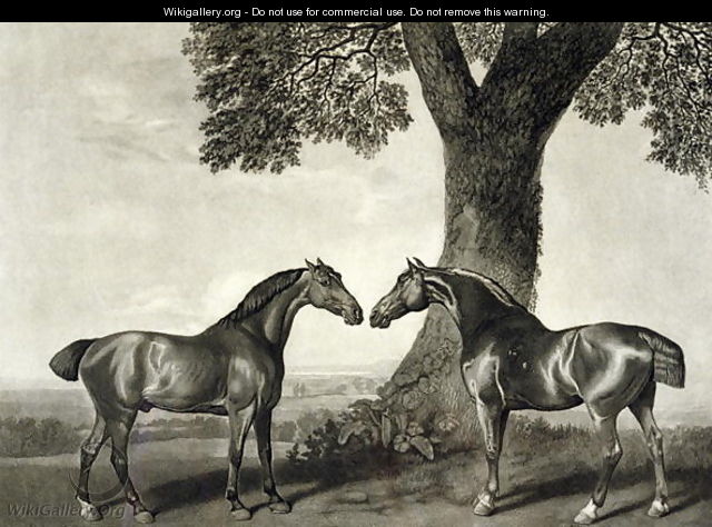 Two Hunters, engraved by G.T. Stubbs bap.1748-c.1815 - (after) Stubbs, George