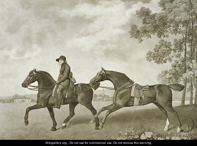 Two Hacks, engraved by George Townley Stubbs bap.1748-c.1815 - (after) Stubbs, George