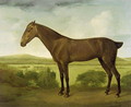 Brown Horse in a Hilly Landscape, c.1780-1800 - George Stubbs
