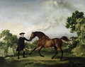 The Duke of Ancasters bay stallion Blank, held by a groom, c.1762-5 - George Stubbs