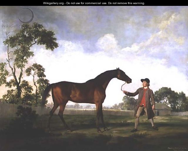 The Duke of Ancasters bay stallion Spectator, held by a groom, c.1762-5 - George Stubbs
