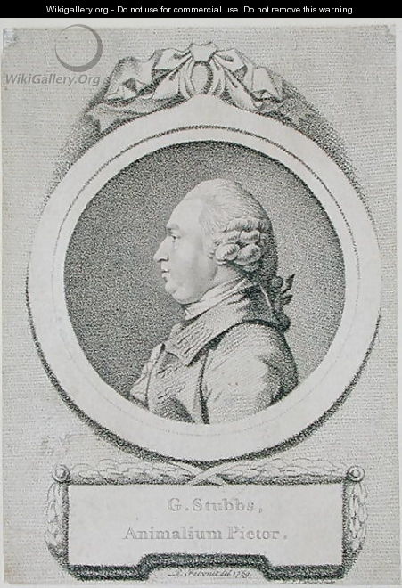 Portrait study of George Stubbs 1724-1806 - George Stubbs