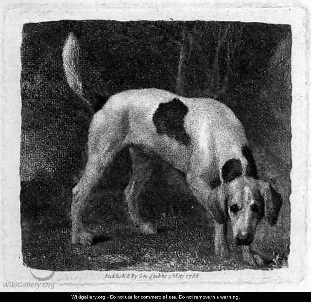 Dog A Foxhound on the Scent engraved by the artist, pub. 1788 - George Stubbs