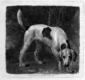 Dog A Foxhound on the Scent engraved by the artist, pub. 1788 - George Stubbs