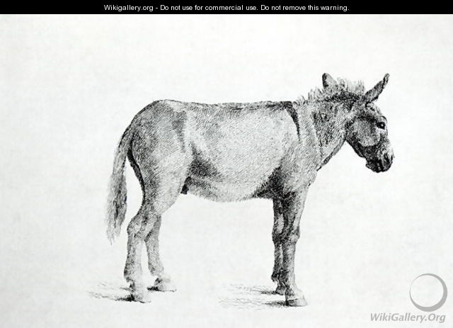 Donkey 1766 - George Stubbs