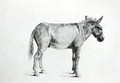 Donkey 1766 - George Stubbs