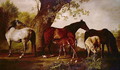 Mare and Foals - George Stubbs