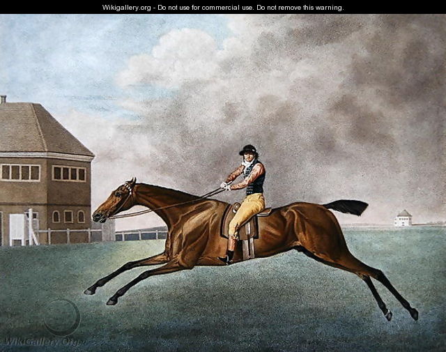 Baronet, 1794 - George Stubbs