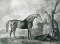 Brown Horse Mask, after George Stubbs, 1773 - George Stubbs