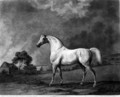 Mambrino, engraved by George Townley Stubbs 1756-1815 pub. 1794 - George Stubbs